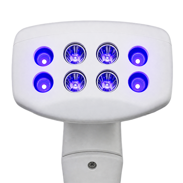 E-Light B